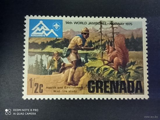 Гренада 1975, скауты