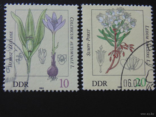 Германия 1982 г. Цветы.
