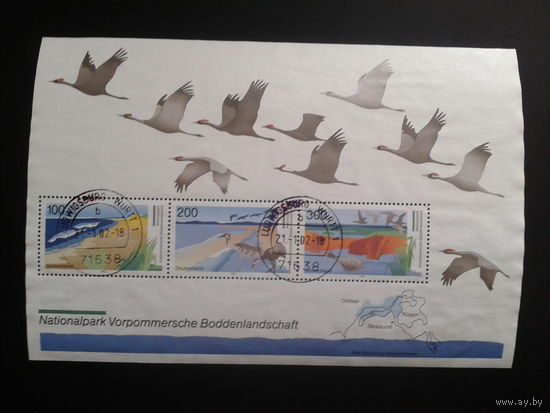 Германия 1996 Национальный парк, птицы Блок Михель-8,0 евро гаш.