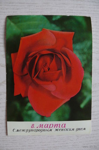 8 Марта. С международным женским днем! 1978, чистая (роза, ГДР).