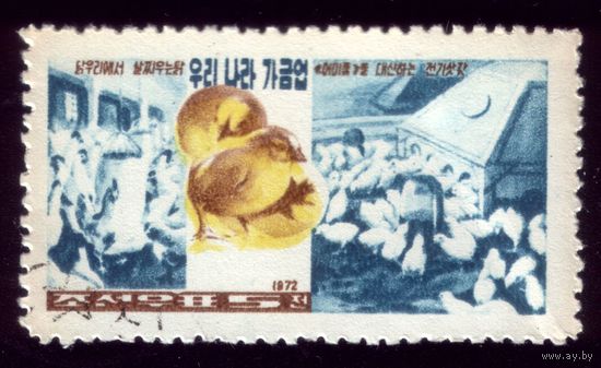 1 марка 1972 год КНДР 1129