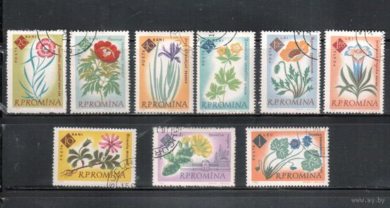 Румыния-1961, (Мих.2020-2028) гаш.  , Флора, Цветы (полная серия)