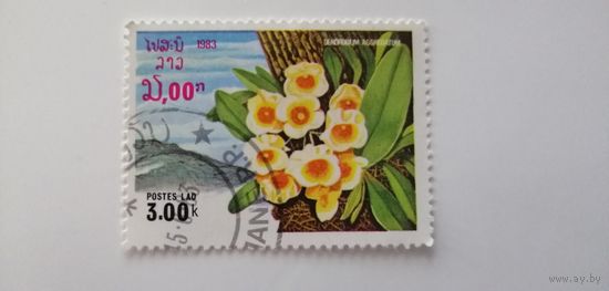 Лаос 1983. Цветы.