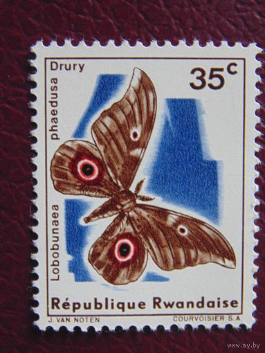 Руанда. Бабочки.