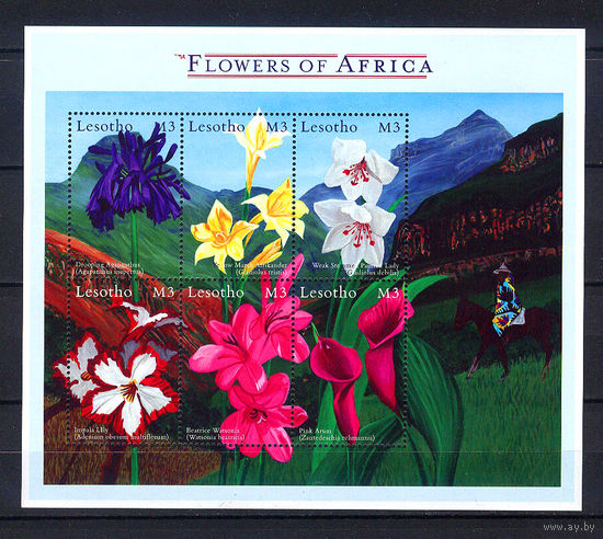 2000 Лесото. Цветы Африки