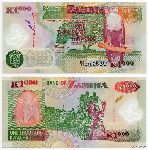 Замбия. 1000 квача (образца 2005 года, P44d, aUNC)