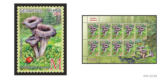 2013 БЕЛАРУСЬ  марка или малый лист "Лисичка серая" MNH