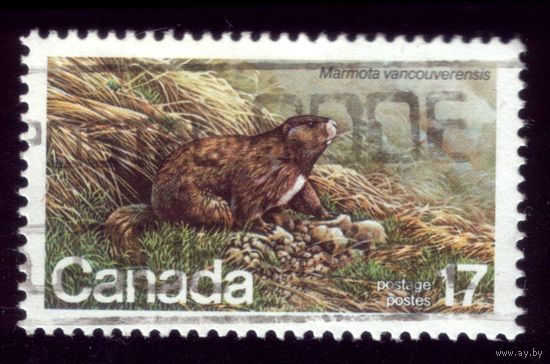 1 марка 1981 год Канада 794
