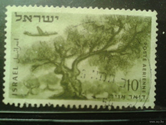 Израиль 1953 Авиапочта, дерево