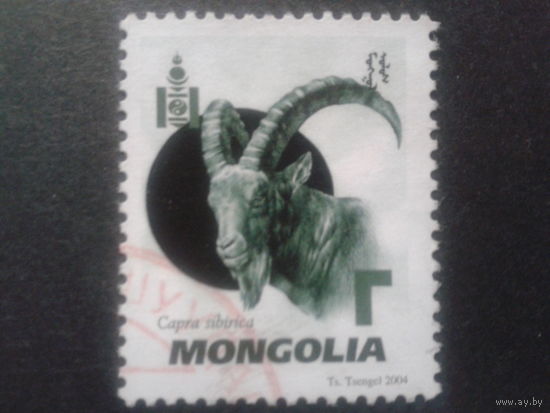 Монголия 2004 стандарт, козел Михель-2,5 евро гаш.