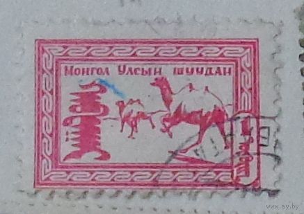Верблюды в степи. Монголия. Дата выпуска:1958-06-10