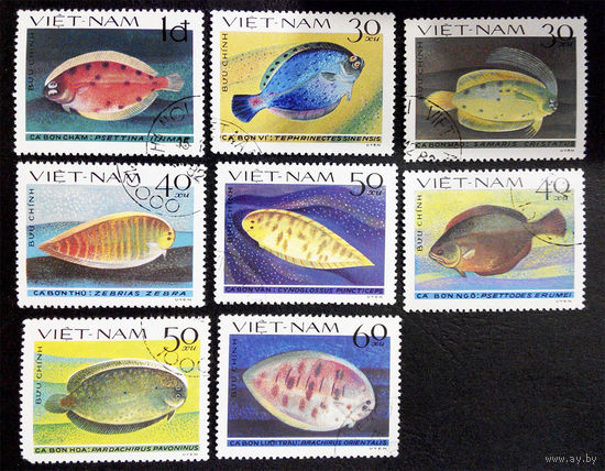 Вьетнам 1982 г. Рыбы. Камбала. Морская Фауна. полная серия из 8 марок #0229-Ф1P52