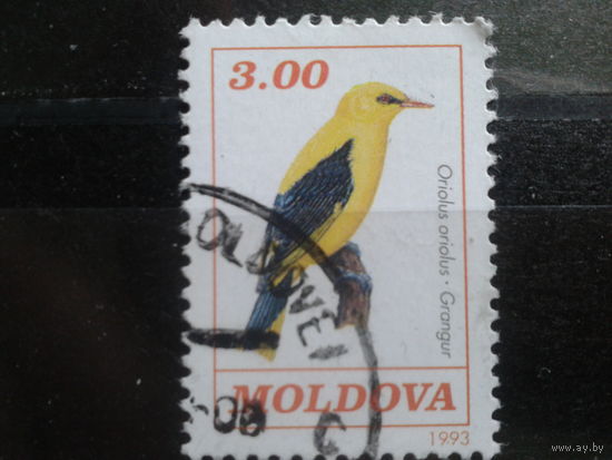 Молдова 1993 Иволга