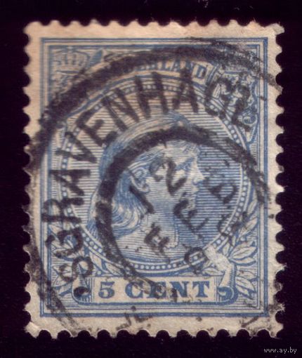 1 марка 1894 год Нидерланды 35b