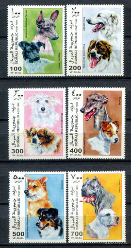 Сомали - 1999г. - Собаки - полная серия, MNH - 6 марок