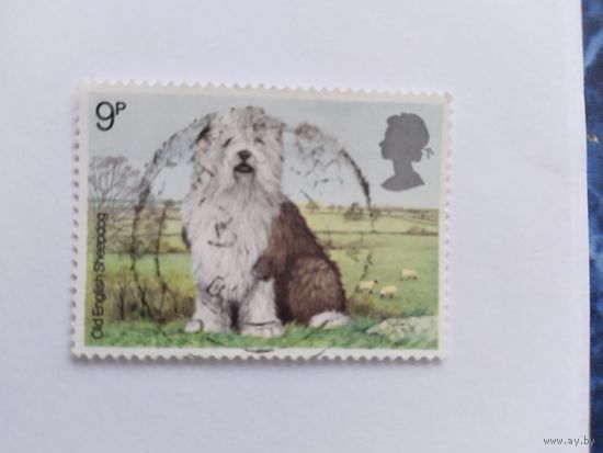 Великобритания  1966 собака