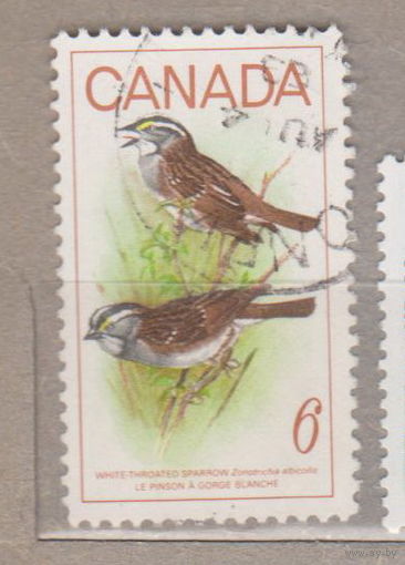 Птицы Фауна  Канада 1969 год лот 1072