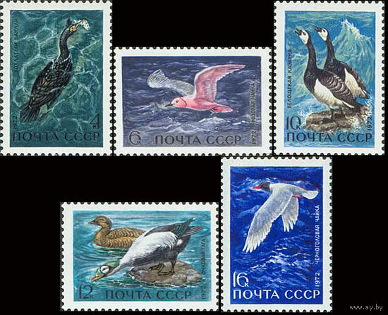 Водоплавающие птицы СССР 1972 год (4092-4096) серия из 5 марок