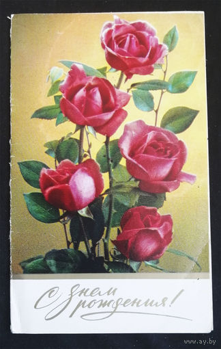 Костенко Г. С днем рождения ! Цветы. Розы. Флора. 1982 год. Двойная #0139-FL1P70