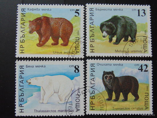 Болгария 1988 г. Фауна. Медведи.