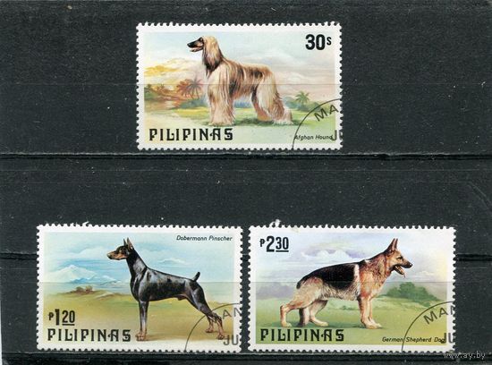 Филиппины. Породы собак