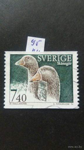 Швеция 1995  гуси