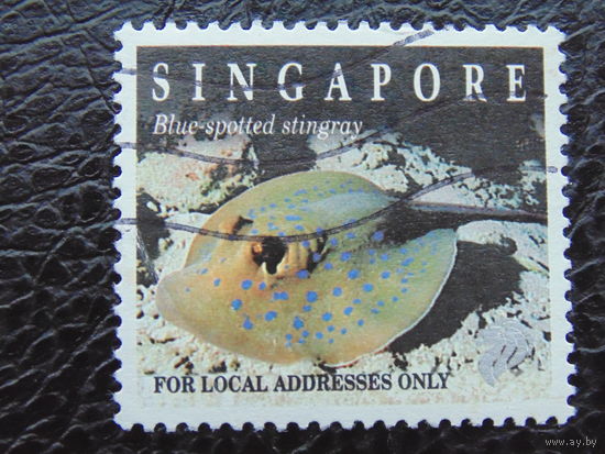 Сингапур. Морская фауна.