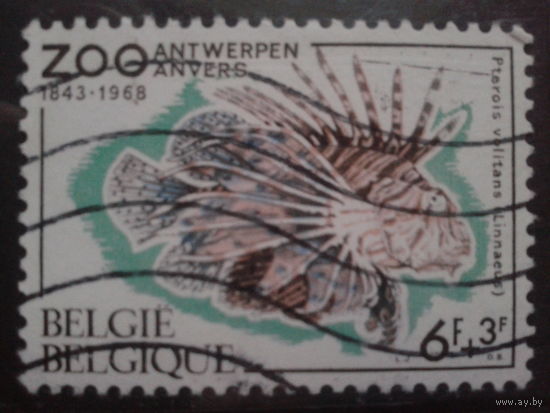 Бельгия 1968 Рыба из аквариума Антверпена