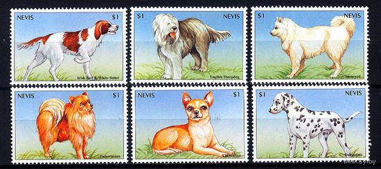 2000 Невис. Собаки