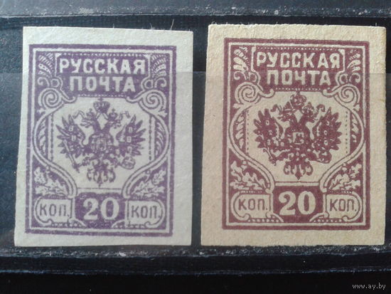 Россия 1919 Гражданская война 20 коп* разный цвет