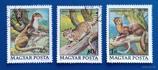 Венгрия.1979.Животные (3 марки)