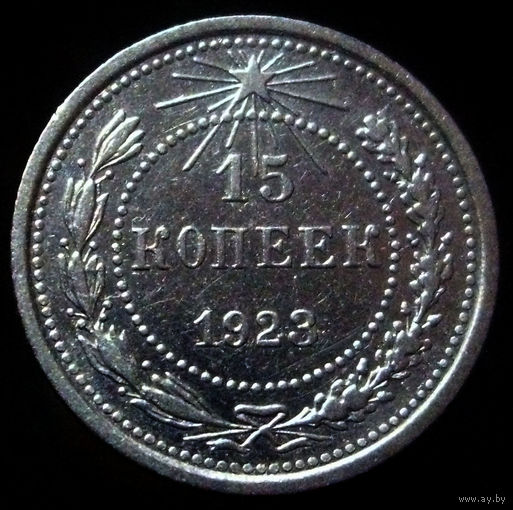 15 копеек 1923 (2)