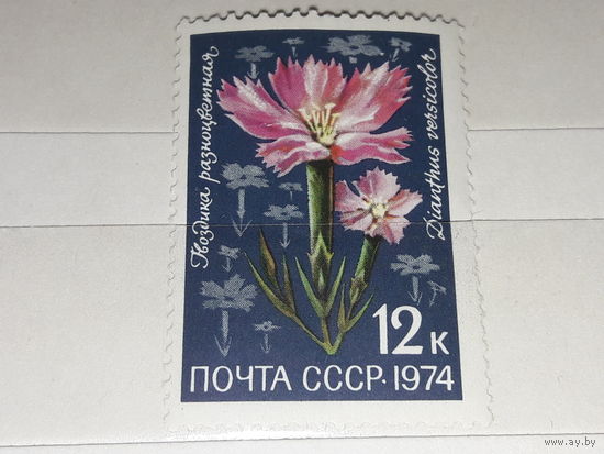 СССР 1974 Флора. Гвоздика. Чистая марка