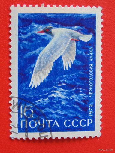 СССР 1972 г. Фауна.