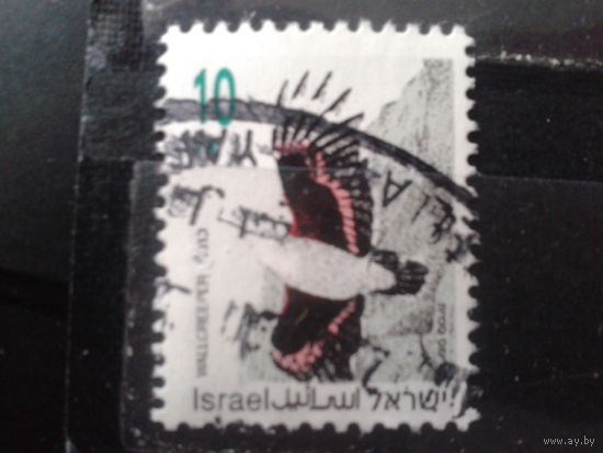 Израиль 1992 Стандарт птица 10