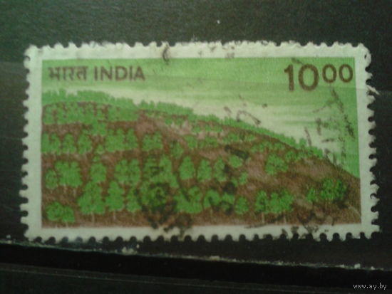 Индия 1984 Стандарт, лес