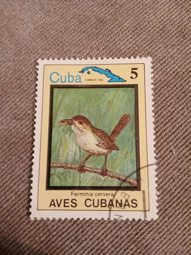 Куба 1983. Птицы. Ferminia cerverai