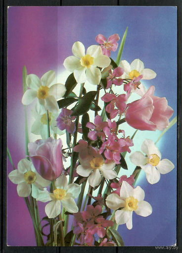 Почтовая карточка"Цветы " Маркированная