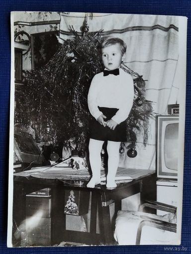 Фото мальчика у новогодней елки. 1970-е. 9х12 см.