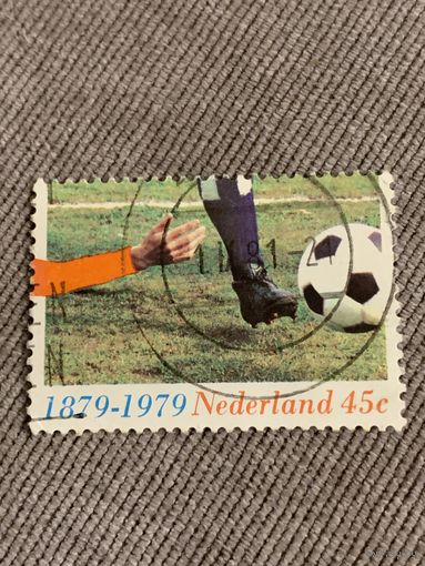 Нидерланды 1981. Футбол