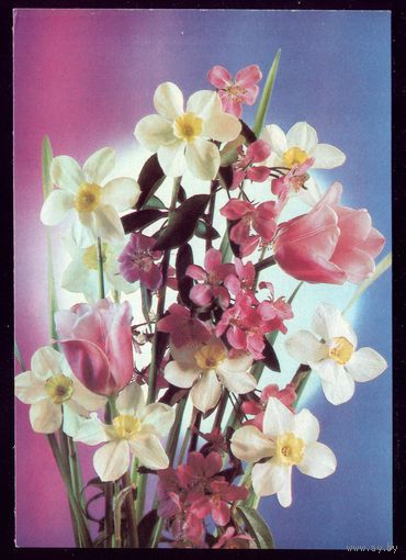 1990 год П.Костенко Цветы чист