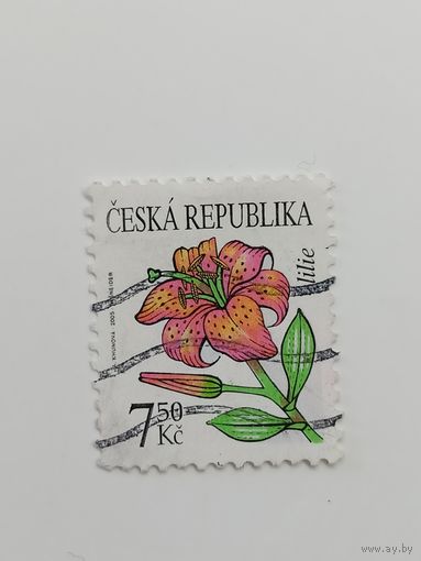 Чехия 2005. Цветы.