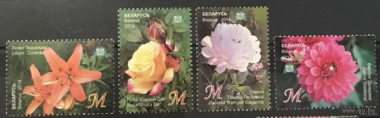 2014 Центральный ботанический сад НАН Беларуси. Цветы