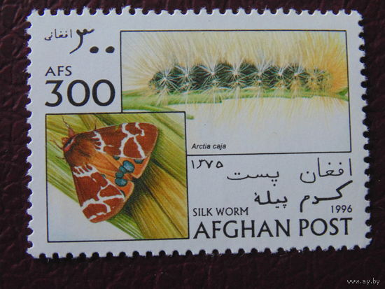 Афганистан 1996 г. Бабочки.