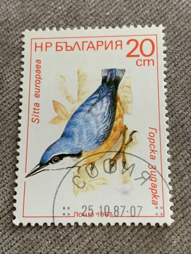 Болгария 1987. Птицы. Sitta europaea. Марка из серии