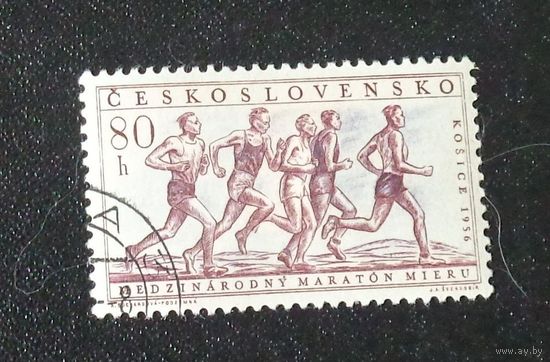Международные соревнования по марафону.  Чехословакия.  Дата выпуска:1956-09-08