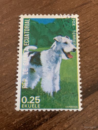 Экваториальная Гвинея 1974. Породы собак. Фока-терьер. Марка из серии