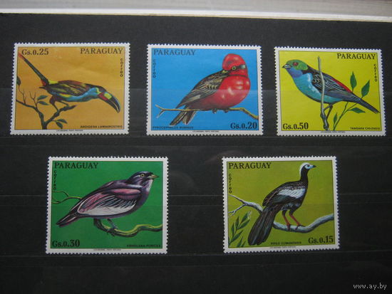 Марки - Парагвай фауна птицы