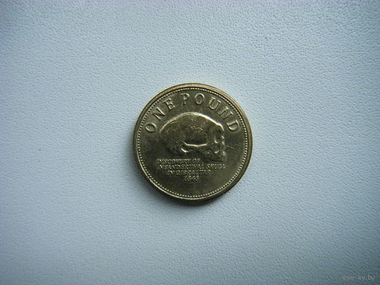 Британия 1 фунт 2009г.