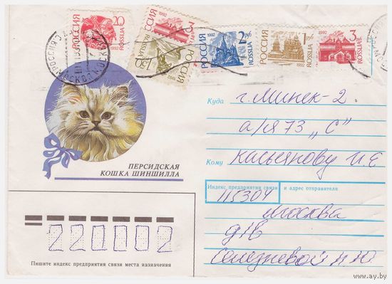 Конверт СССР, прошедший почту. Персидская кошка шиншилла